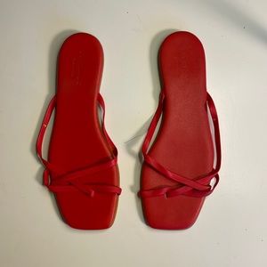 Everlane The Strappy Sandal - Red